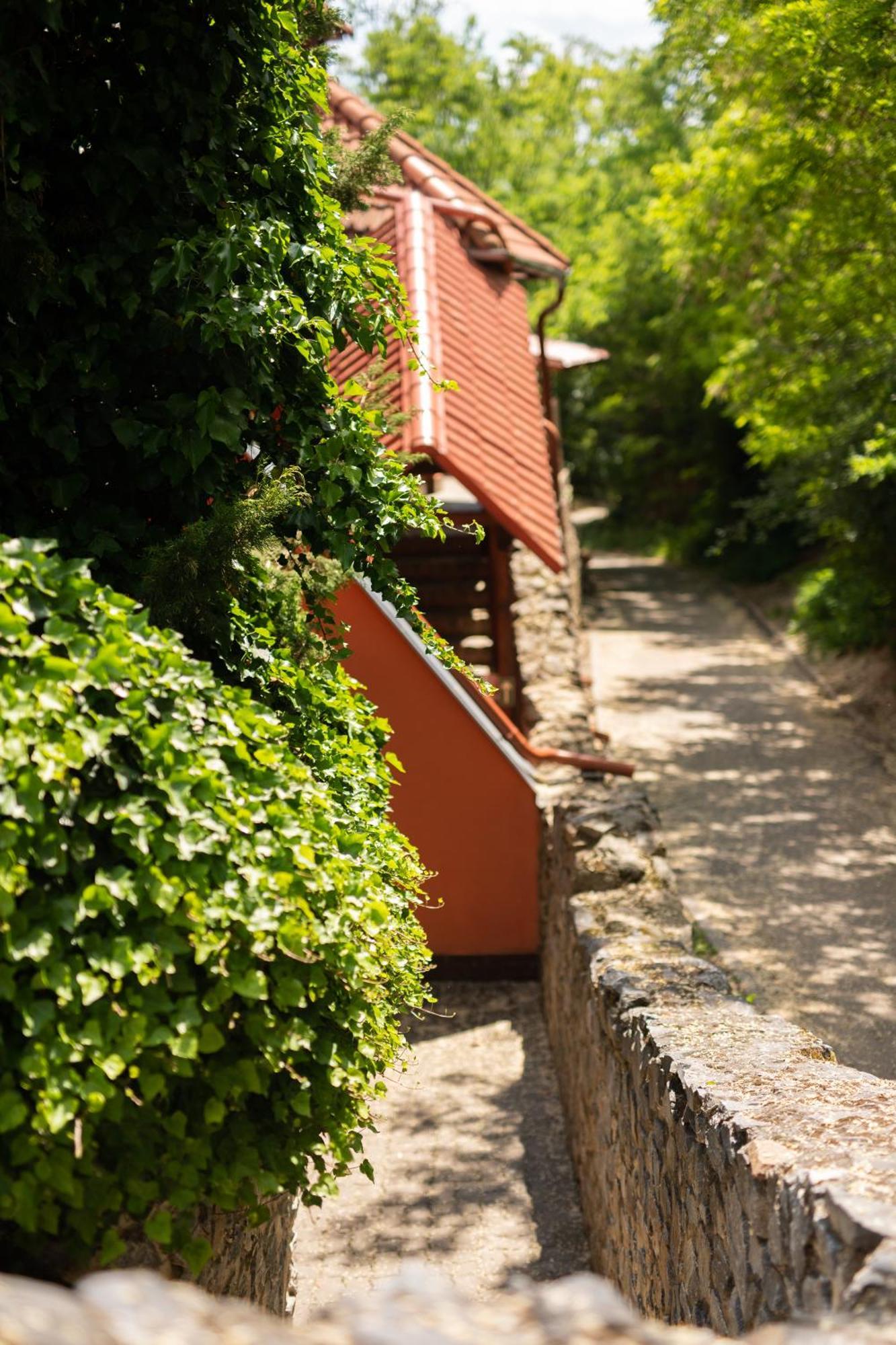 Penzion Nechorka Prusanky Exterior photo