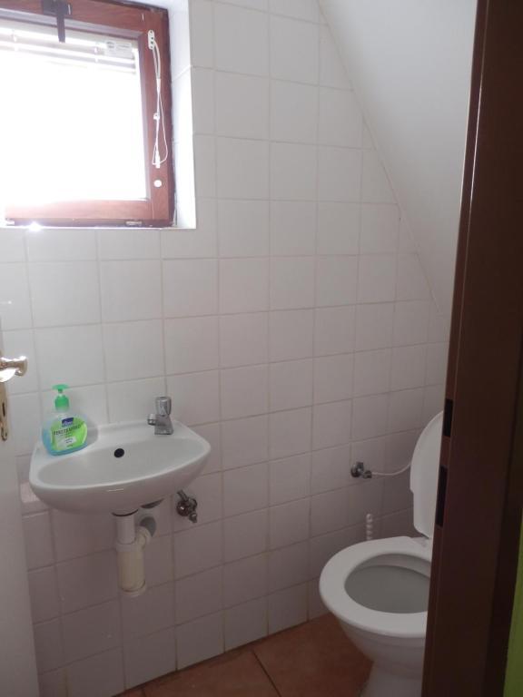 Penzion Nechorka Prusanky Room photo